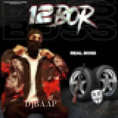 12 Bor thumbnail