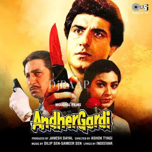 Andher Gardi