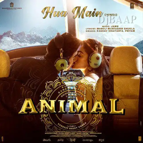 Animal