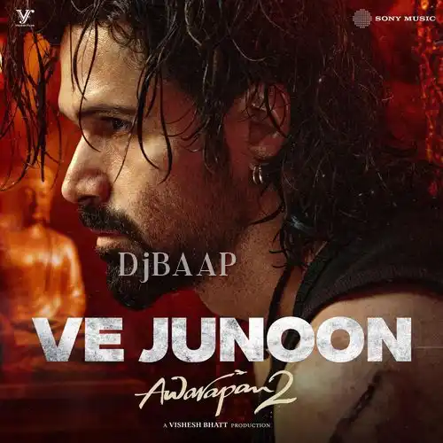 Ve Junoon album art