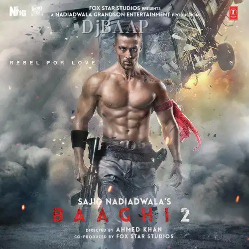 Baaghi 2