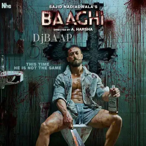 Baaghi 4