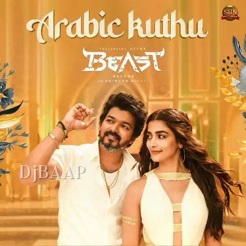 Arabic Kuthu thumbnail