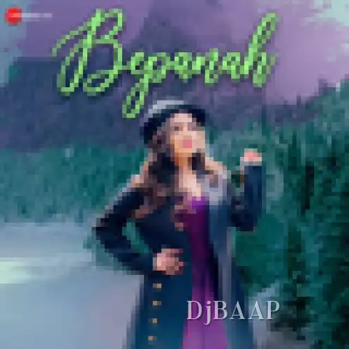 Bepanah album art
