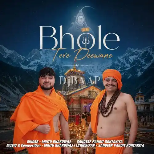 Bhole Tere Deewane album art