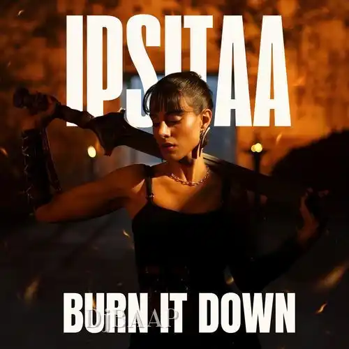 Burn it Down thumbnail