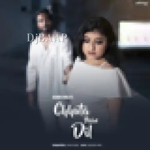 Chhuta Hain Dil album art
