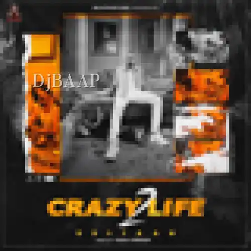 Crazy Life 2 thumbnail