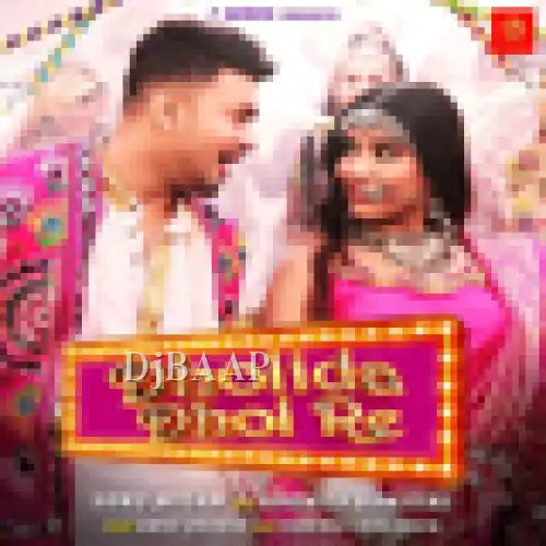 Dholida Dhol Re album art