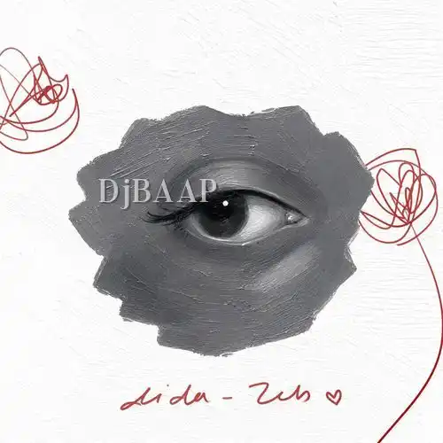 Dida-zeb (ft. Kiran Sandhu) album art