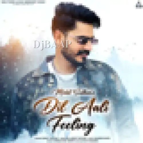 Dil Aali Feeling album art