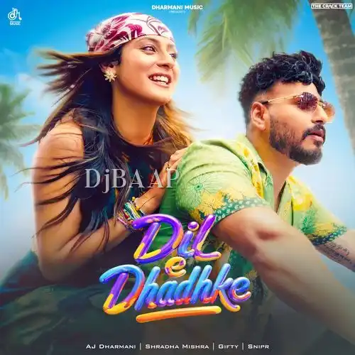Dil E Dhadhke album art