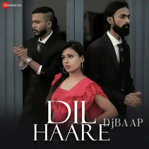 Dil Haare
