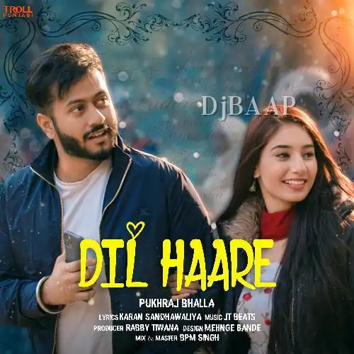 Dil Haare album art