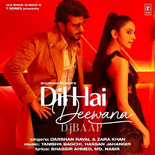 Dil Hai Deewana album art