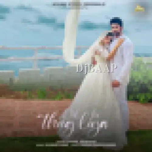 Dil Ko Thug Liya album art