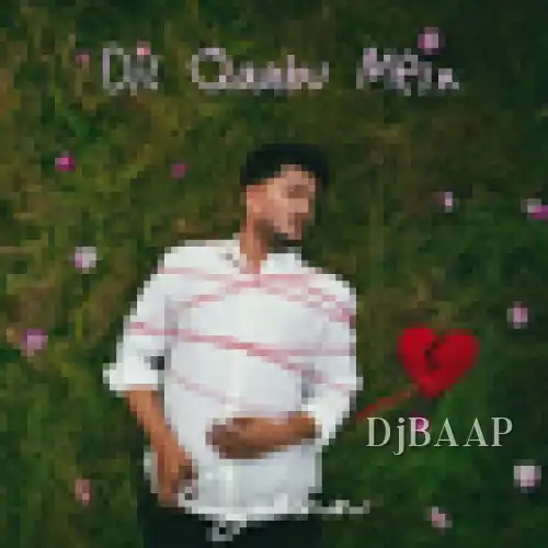 Dil Qaabu Mein album art
