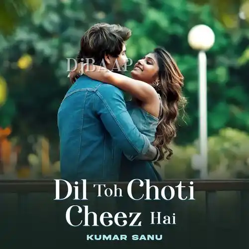 Dil Toh Choti Cheez Hai album art