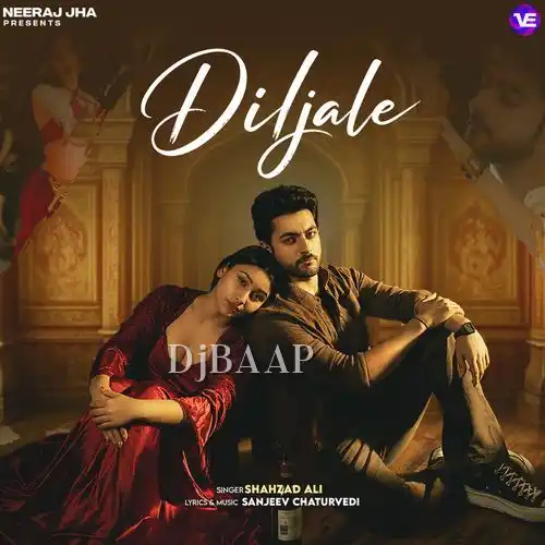 Diljale album art