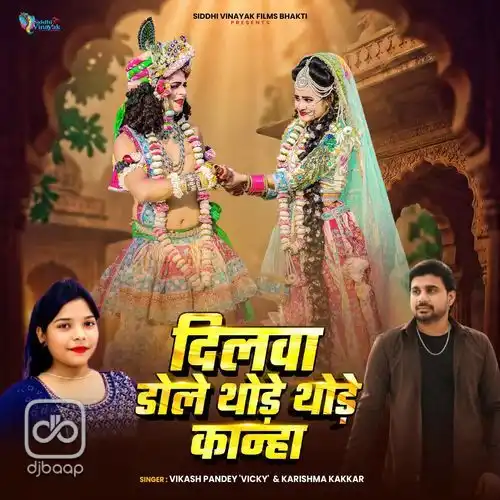 Dilwa Dole Thode Thode