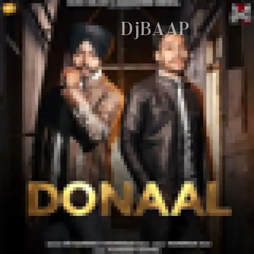 Donaal album art