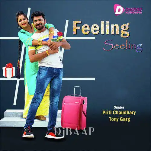 Feeling Seeling album art