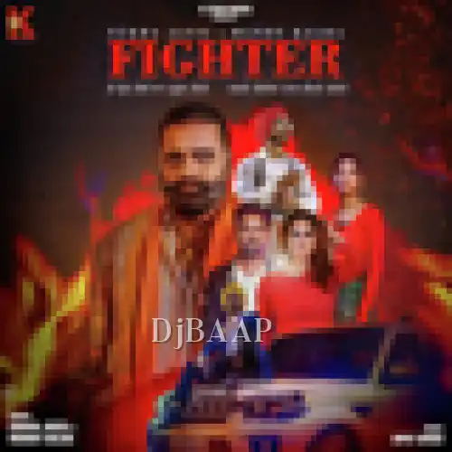 Fighter album art