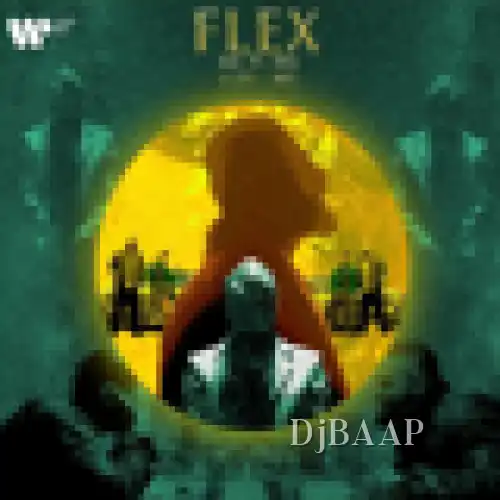 Flex album art