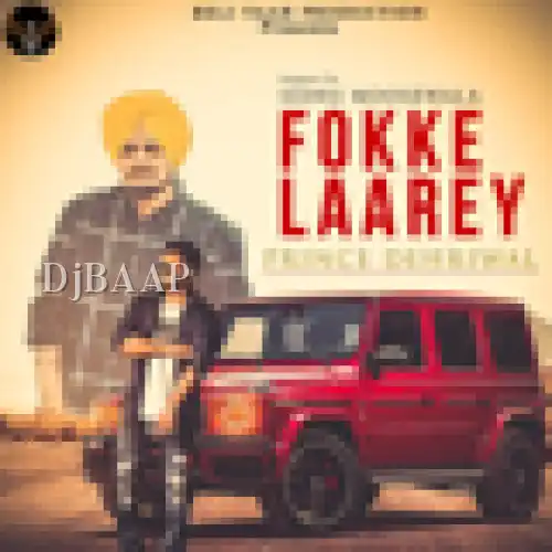 Fokke Laarey