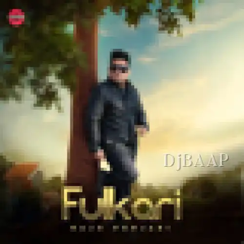 Fulkari thumbnail