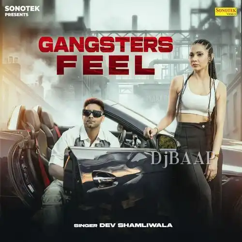 Gangsters Feel album art