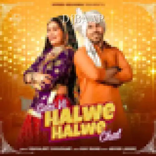Gori Vi Halwe Halwe Chal album art