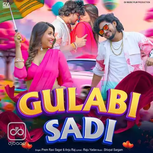 Gulabi Sadi
