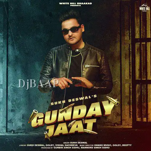 Yaar Zigri album art