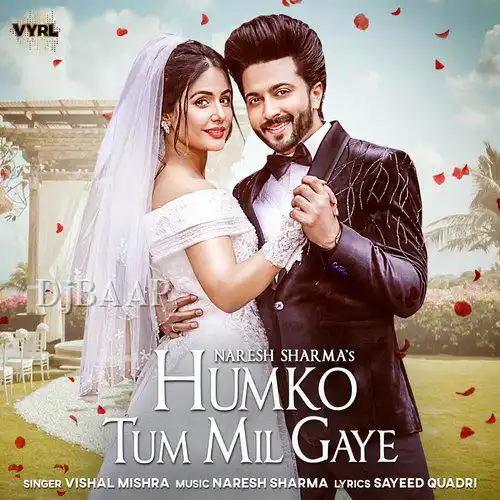 Humko Tum Mil Gaye album art