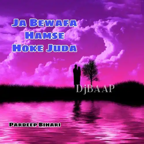 Ja Bewafa Hamse Hoke Juda album art