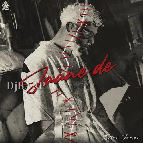 Jaane De album art