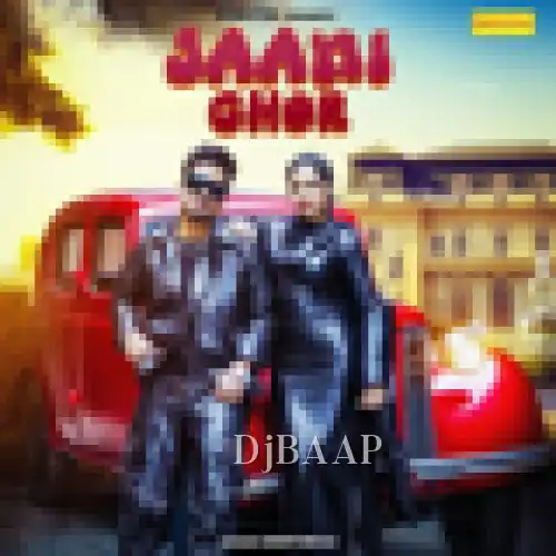 Jaani Chor album art
