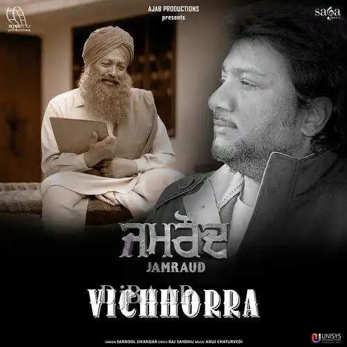 Vichhorra album art