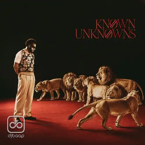 Known Unknowns