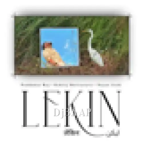 Lekin The Mirror album art