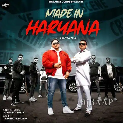 Made In Haryana album art