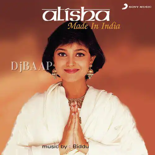 Dil album art