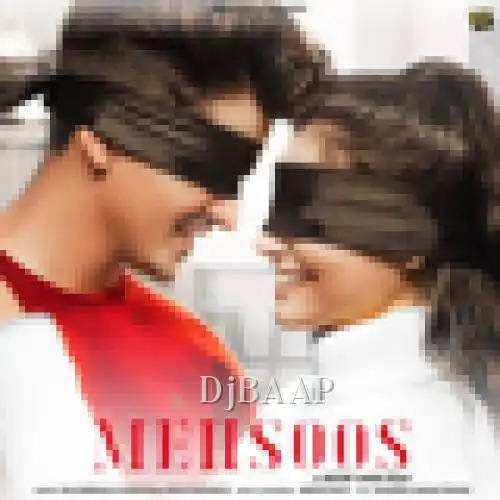 Mehsoos album art