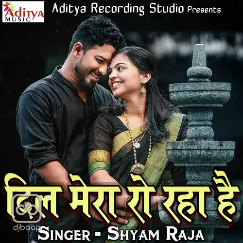 Mera Dil Ro Raha Hai