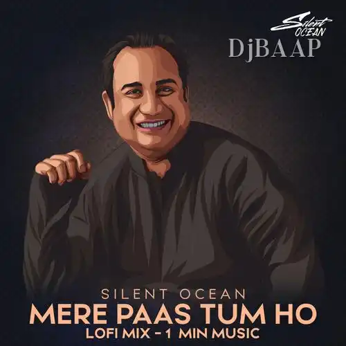 Mere Paas Tum Ho (Lofi Mix)