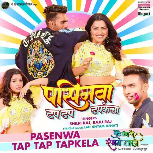 Mere Rang Me Rangane Wali - Shilpi