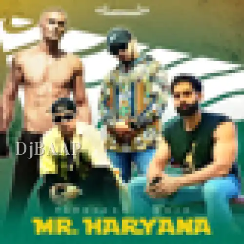 Mr. Haryana album art