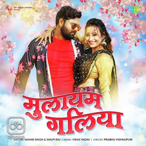Mulayam Galiya