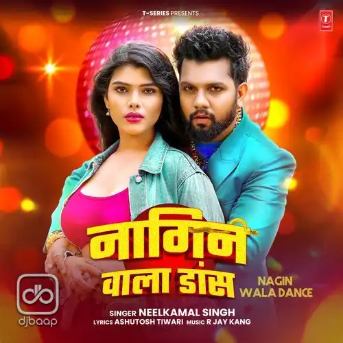 Nagin Wala Dance